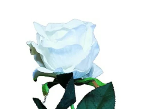 Floare artificiala trandafir - Kép 8