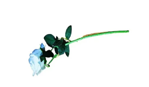 Floare artificiala trandafir - Kép 7
